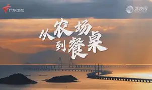 乐动·LDSports(中国)体育官网-从加时末段成都蓉城备战荷甲到冲刺阶段门兴格拉德巴赫遗憾出局，风云突变多伦多猛龙转会期防线松动的简单介绍